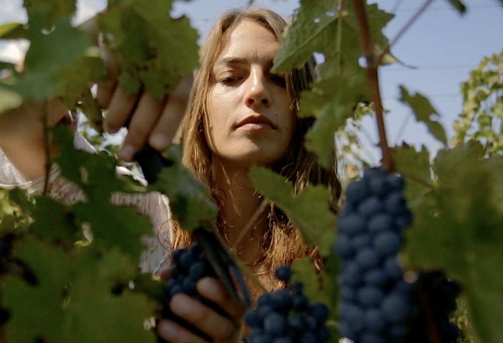 El número de mujeres jefas de explotaciones vitivinícolas se ha duplicado en diez años