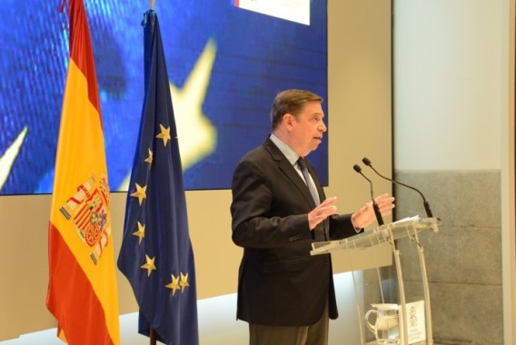 Luis Planas transmite un mensaje de tranquilidad tras la aparición de peste porcina africana en animales silvestres