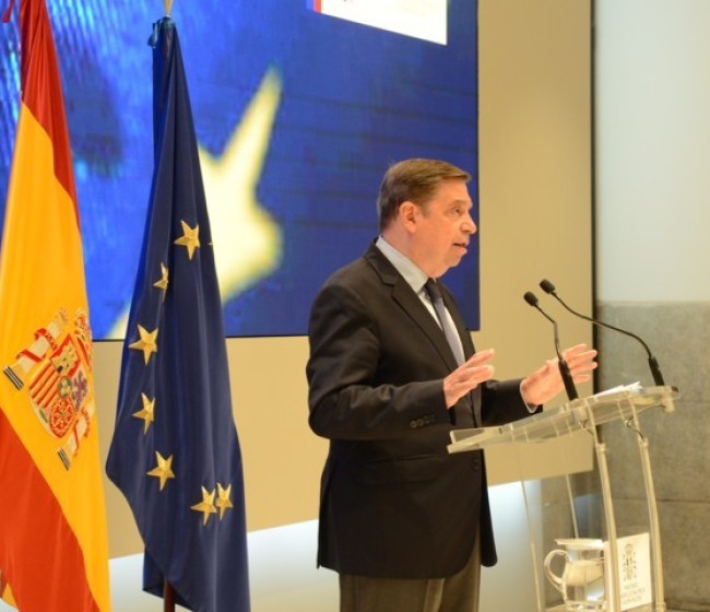 Luis Planas transmite un mensaje de tranquilidad tras la aparición de peste porcina africana en animales silvestres