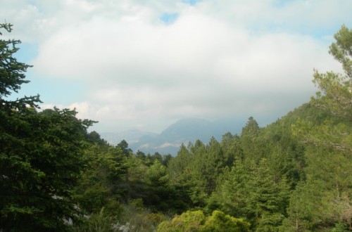 Las 14 CC.AA. del PP rechazan en bloque el reglamento UE de Restauración de la Naturaleza