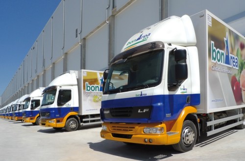 El camión acapara el transporte del 95,5% de las exportaciones de frutas y hortalizas españolas