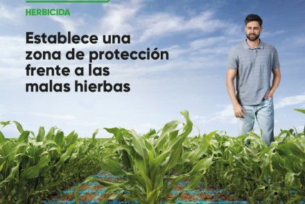 Hector, el nuevo herbicida de Corteva Agriscience para el cultivo de maíz
