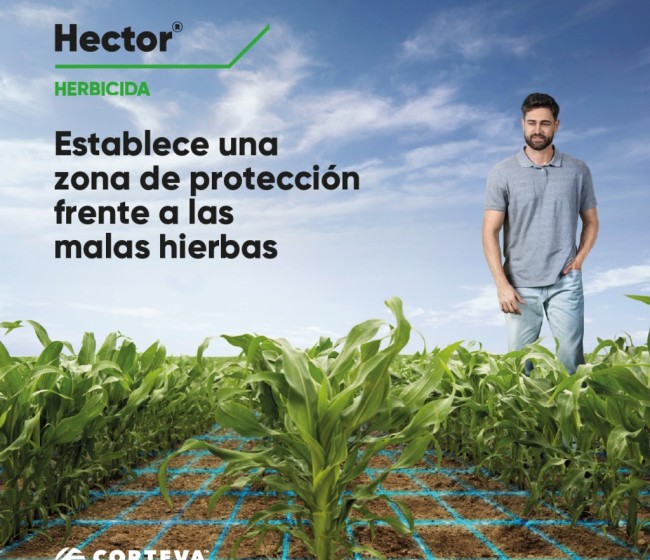 Hector, el nuevo herbicida de Corteva Agriscience para el cultivo de maíz