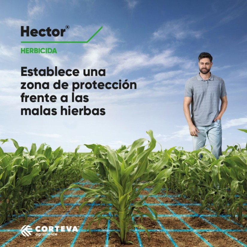 Hector, el nuevo herbicida de Corteva Agriscience para el cultivo de maíz