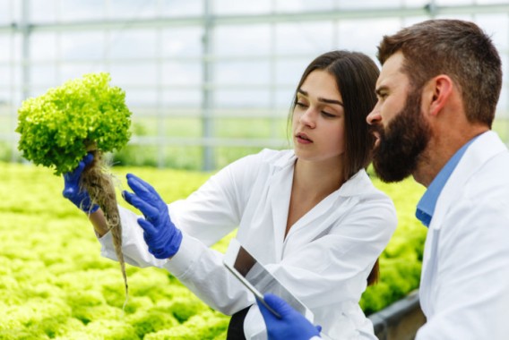 AseBio crea un Grupo de Trabajo de Innovación Alimentaria para impulsar el potencial biotecnológico del sector