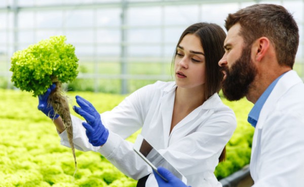 AseBio crea un Grupo de Trabajo de Innovación Alimentaria para impulsar el potencial biotecnológico del sector
