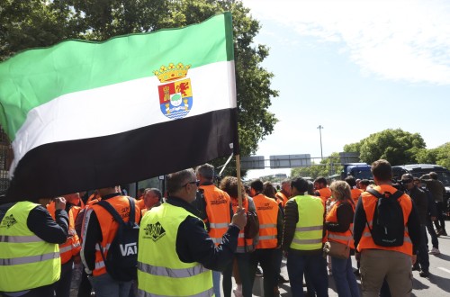 Productores extremeños de tabaco en rama reclaman medidas para mantener un sector del que viven 20.000 familias