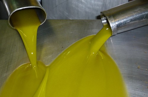 La producción comunitaria de aceite de oliva alcanzará los 1,5 Mt en 2023/24