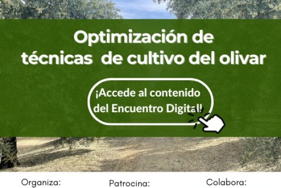 Especial Optimización de técnicas de cultivo del olivar