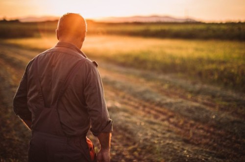 El Gobierno publica la orden de módulos con una rebaja general del 15% en el IRPF 2023 para 800.000 agricultores y ganaderos