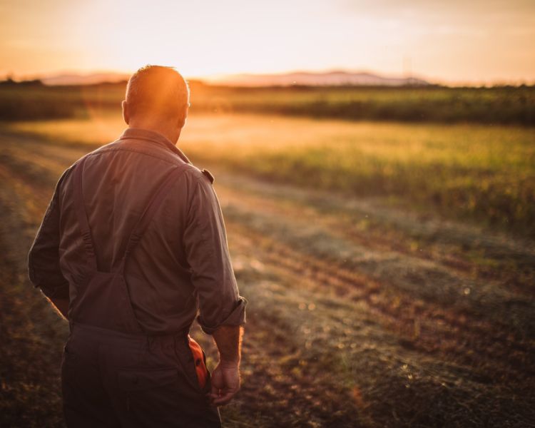 El 85% de los agricultores y ganaderos planea renovar su seguro agrario, según Agroseguro
