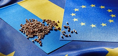 El Pleno del PE aprueba formalmente las salvaguardias automáticas del comercio de la UE con Ucrania