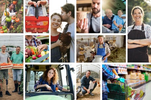 La CE lanza la convocatoria para el Observatorio de la Cadena Agroalimentaria de la UE