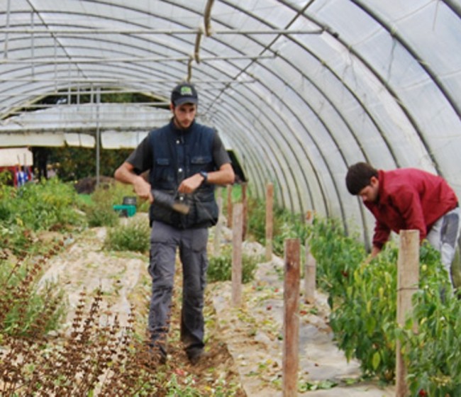 El paro registrado en Agricultura bajó en cerca de 16.000 personas en el último año