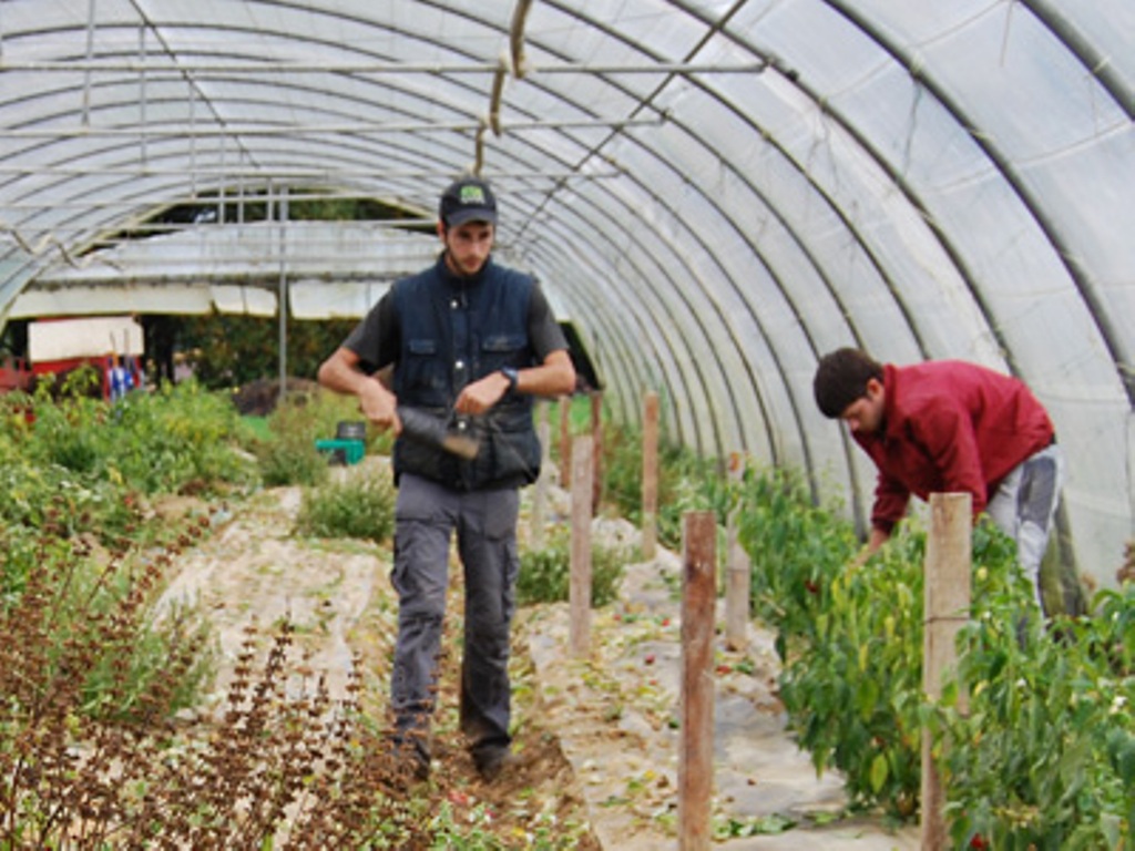 El paro registrado en Agricultura bajó en cerca de 16.000 personas en el último año