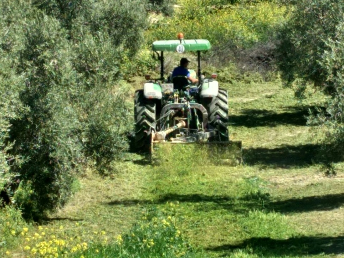 Las ayudas del Plan Renove 2024 se ampliarán a equipos agrícolas para mantener las cubiertas vegetales de los suelos