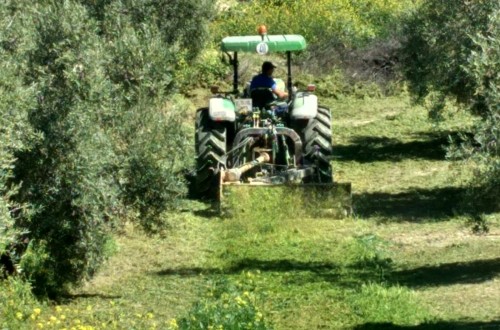 Las ayudas del Plan Renove 2024 se ampliarán a equipos agrícolas para mantener las cubiertas vegetales de los suelos