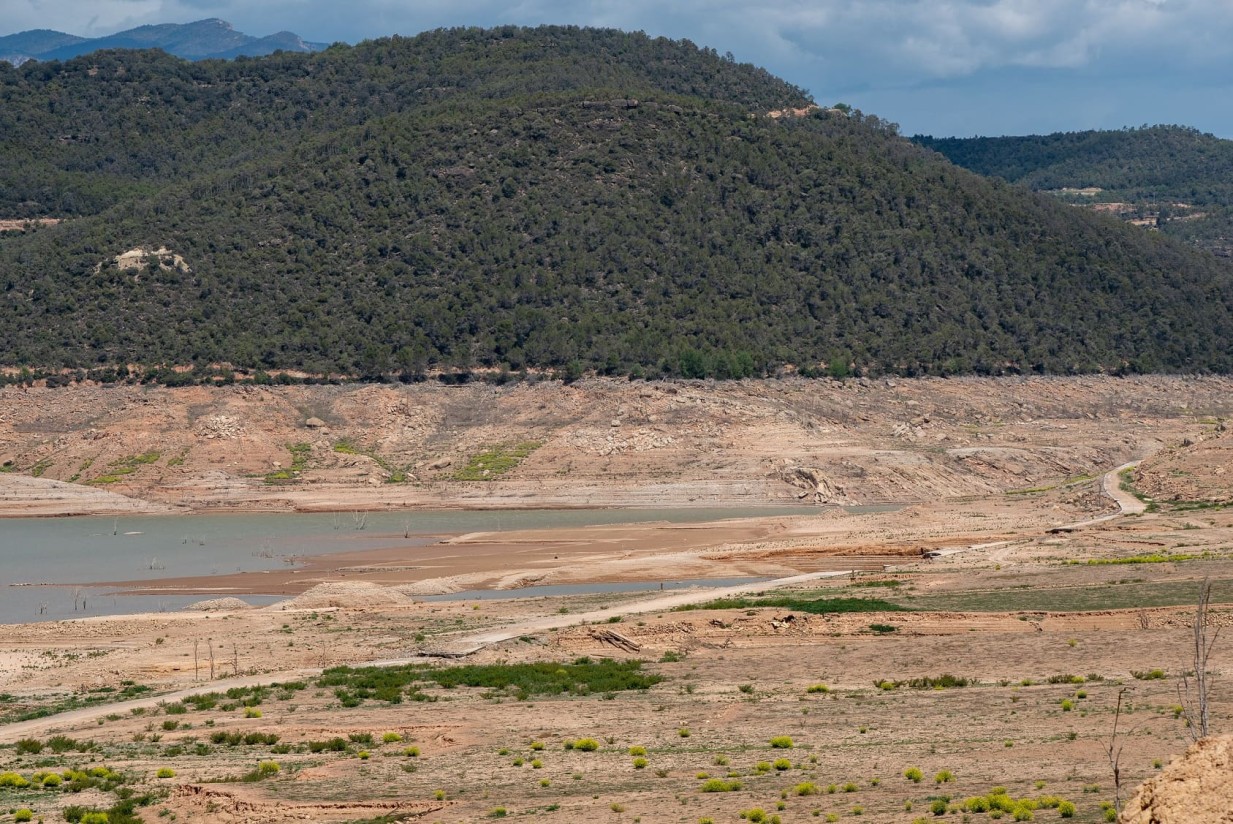 ENESA presenta la “Guía del Seguro Agrario 2024”