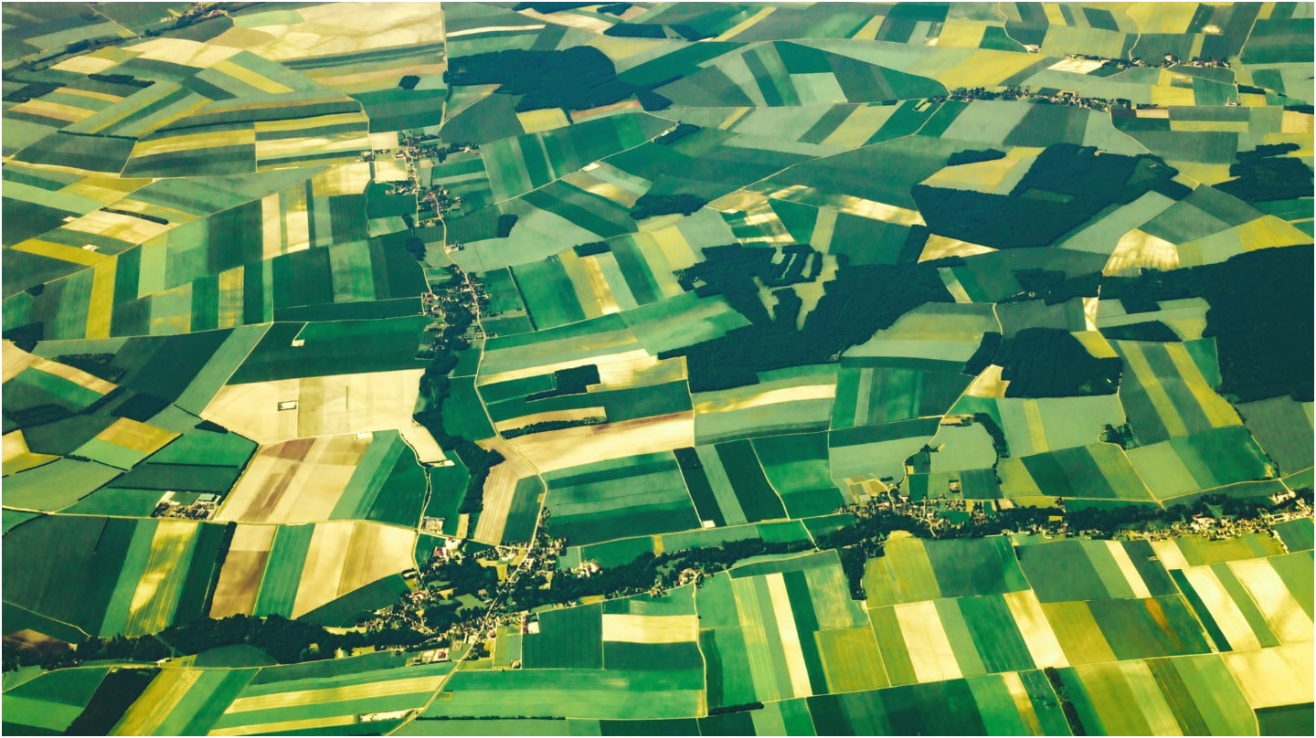 ¿Cuáles son las nuevas medidas en apoyo al sector agrario aprobadas por el Gobierno francés?
