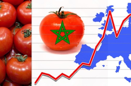 La competencia desleal del tomate marroquí eleva la preocupación de los productores de Francia, Italia y España