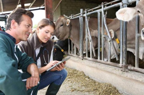 La industria de sanidad y nutrición animal se acercó a los 2.100 M€ de facturación en 2023