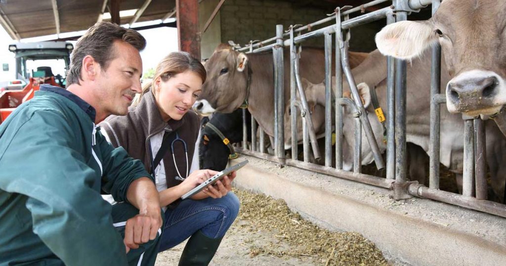 La industria de sanidad y nutrición animal se acercó a los 2.100 M€ de facturación en 2023