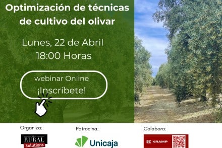 Webinar Vida Rural: Optimización de técnicas de cultivo del olivar
