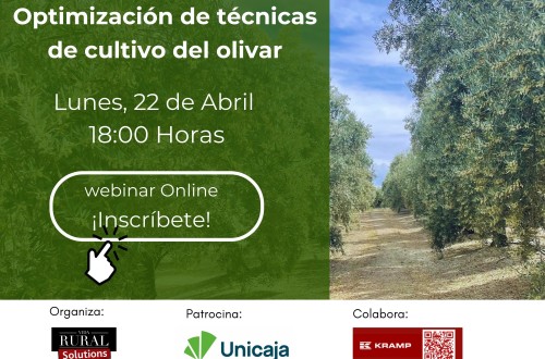 Webinar Vida Rural: Optimización de técnicas de cultivo del olivar