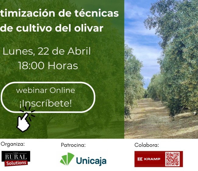 Webinar Vida Rural: Optimización de técnicas de cultivo del olivar