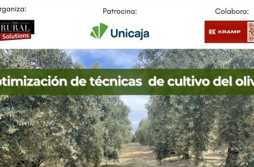 El webinar de Vida Rural sobre Optimización de técnicas de cultivo del olivar reúne a más de 320 agricultores y técnicos