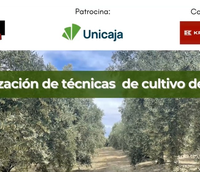 El webinar de Vida Rural sobre Optimización de técnicas de cultivo del olivar reúne a más de 320 agricultores y técnicos