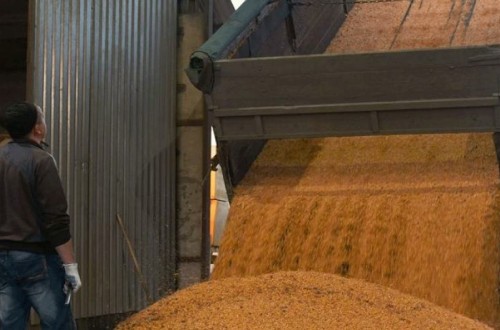 Unión de Uniones convoca una manifestación el próximo lunes en Madrid contra las importaciones de cereales de Ucrania
