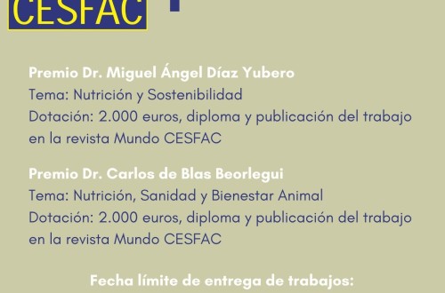 XI Premios Fundación CESFAC