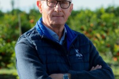 Sé solidario con los agricultores y ganaderos: apuesta por los productos los cítricos de  la tierra azotada por la dana