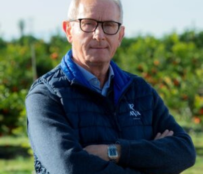 Sé solidario con los agricultores y ganaderos: apuesta por los productos los cítricos de  la tierra azotada por la dana