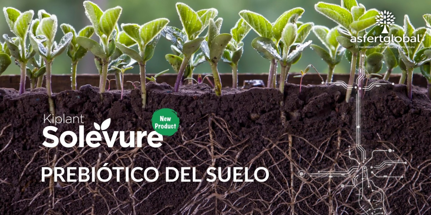 Kiplant Solevure, el nuevo prebiótico para suelos agrícolas de Asfertglobal