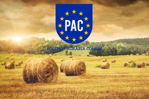 Las cooperativas agroalimentarias rechazan la PAC 2028-2035 por desmantelar la política común