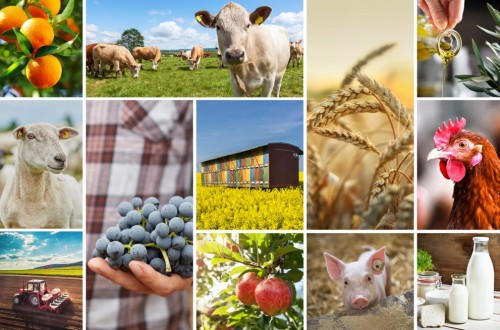 La CE constata que la incertidumbre sigue siendo una constante de la agricultura comunitaria