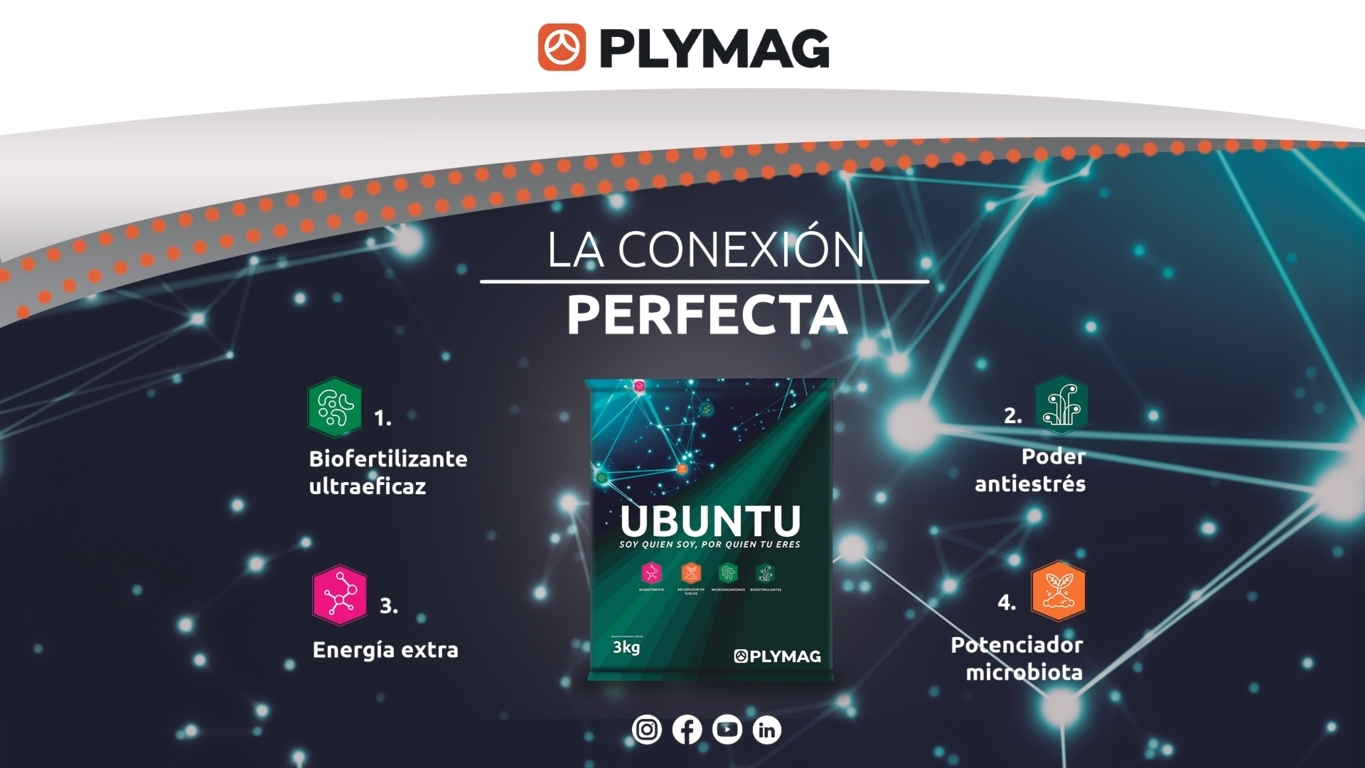 Plymag lanza al mercado Ubuntu, un producto diseñado para potenciar la salud y productividad de los cultivos