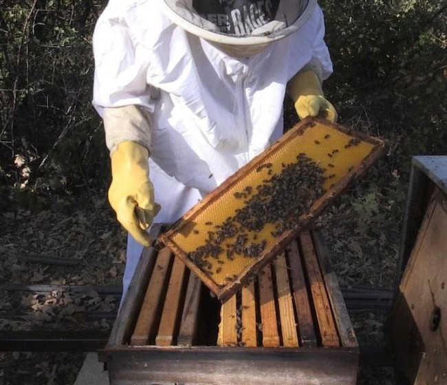La Junta de Extremadura abona 15 millones en ayudas PAC para el fomento de la biodiversidad