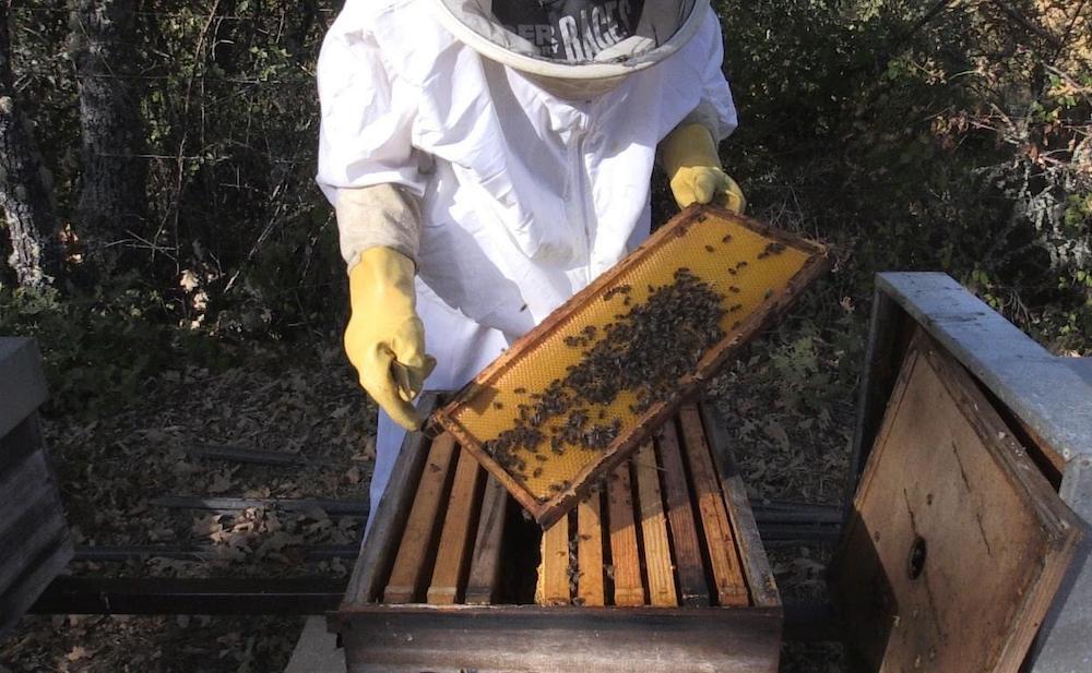 La Junta de Extremadura abona 15 millones en ayudas PAC para el fomento de la biodiversidad