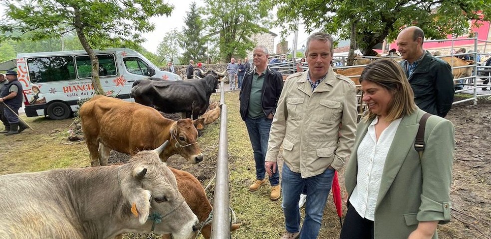 asturias_feria_ganado_pac
