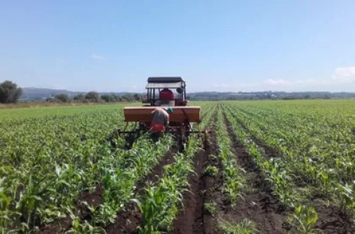 Unión de Uniones advierte de la pérdida de 14.300 empresas agrarias y 35.000 empleos en el sector en cuatro años
