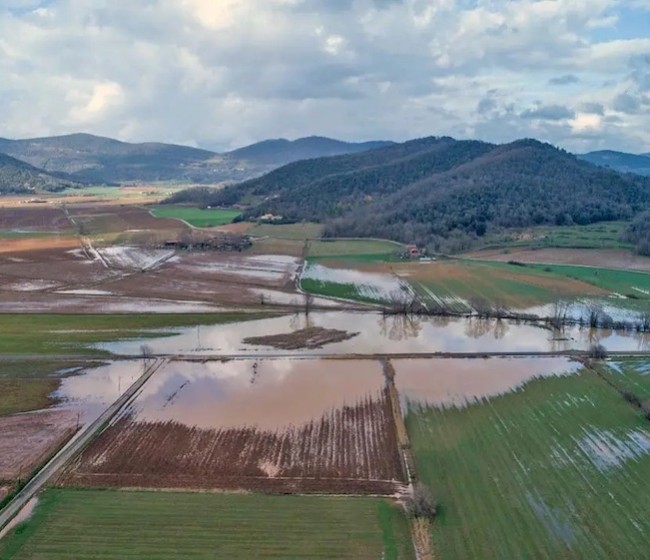 El apoyo a los agricultores ante fenómenos meteorológicos excepcionales ya no se estudiará caso por caso