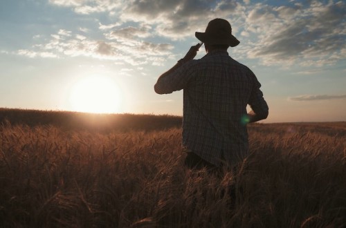 El paro agrícola aumenta el 3,6%, aunque el número de ocupados sube un 3,4%