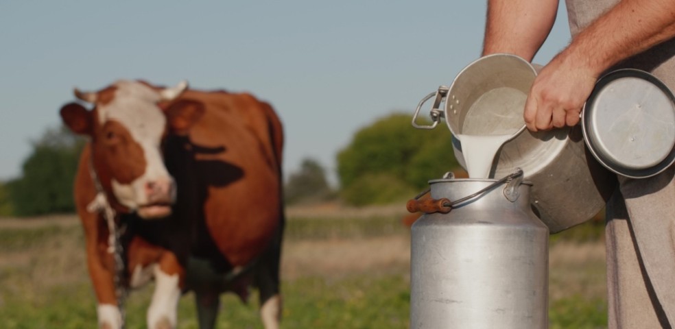 leche_cruda_europa