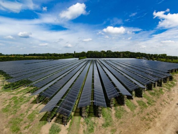 Italia prohíbe la instalación de placas solares en tierras agrícolas