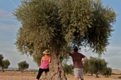 Las explotaciones con titularidad compartida en Extremadura suman ya 128, tercera comunidad por detrás de Castilla y León y Castilla-La Mancha