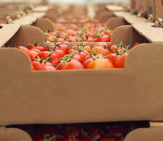 Los precios de exportación de la industria alimentaria caen un 1,3% en febrero, los de importación suben 5,8%