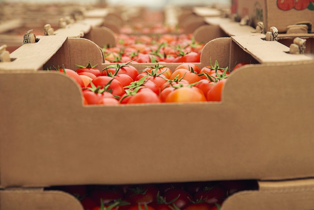 Los precios de exportación de la industria alimentaria caen un 1,3% en febrero, los de importación suben 5,8%